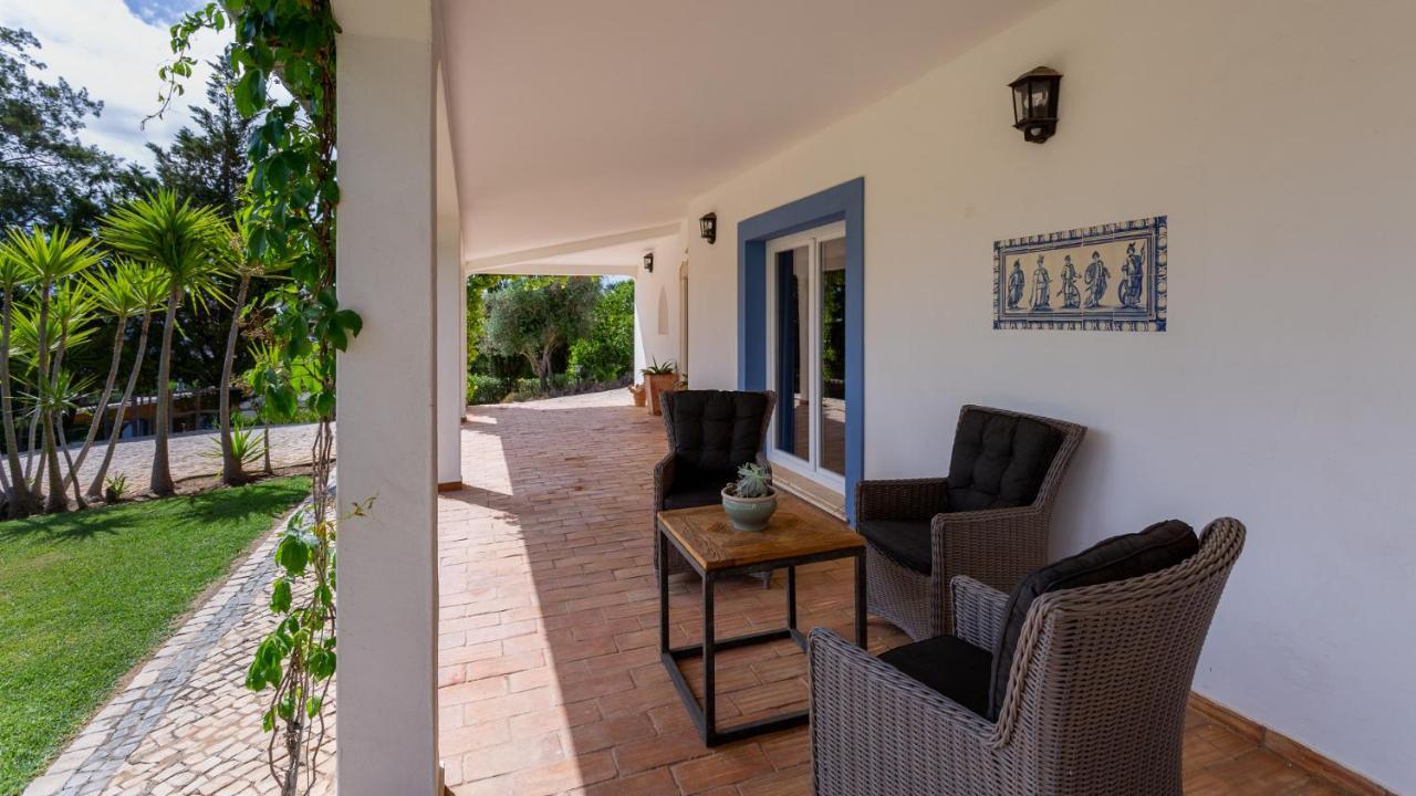 Luxury With Pool In Vineyard Near The Villa