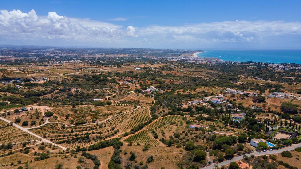 Villa Luxury With Pool In Vineyard Near The *